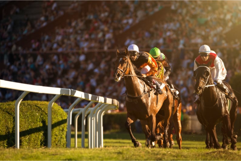 Horse race on a grass track